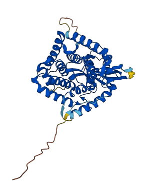 TCN2 3D structure