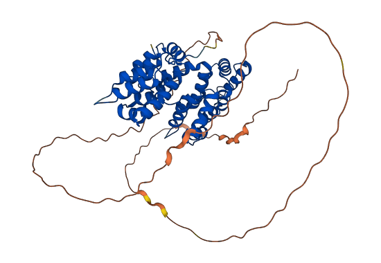 ANXA7 3D structure