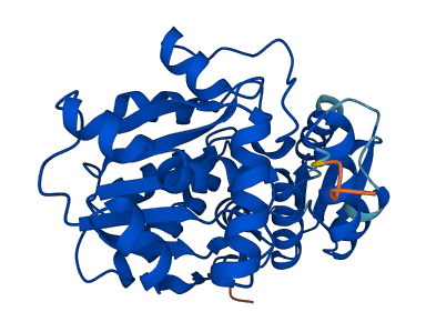 SDS 3D structure