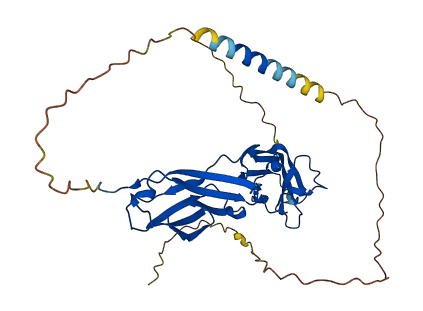 CD33 3D structure