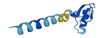 SPINK2 3D structure