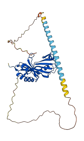 TBP 3D structure