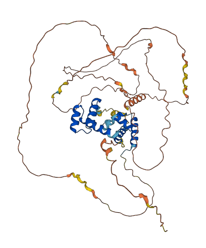 POU3F3 3D structure