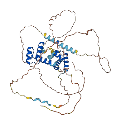 POU3F2 3D structure