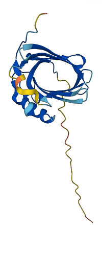 Vegp1 3D structure