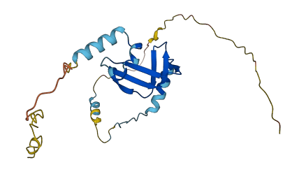 BTF3 3D structure