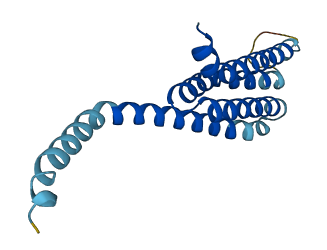 ALOX5AP 3D structure