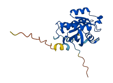RAB4A 3D structure