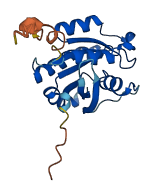 RAB6A 3D structure