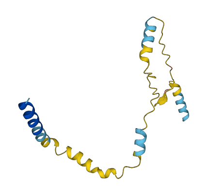TAC1 3D structure
