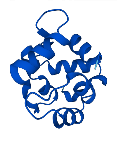 PVALB 3D structure