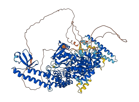 MSH3 3D structure