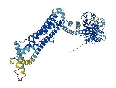 MX1 3D structure