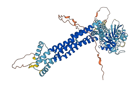 MX2 3D structure