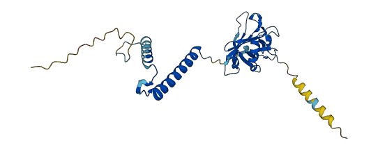 M6PR 3D structure