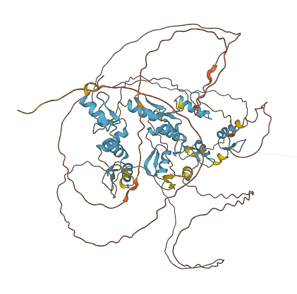 Zfy2 3D structure