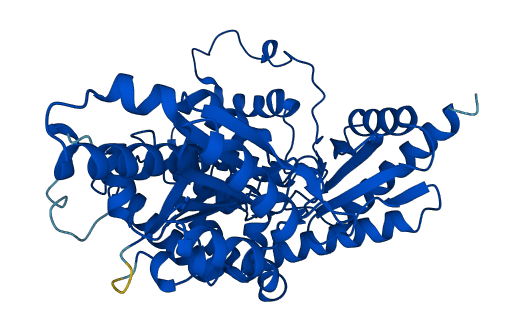 DDC 3D structure