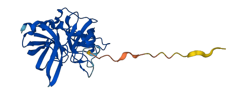 GZMH 3D structure