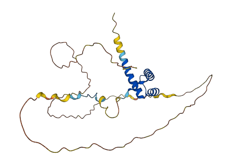 HOXA5 3D structure