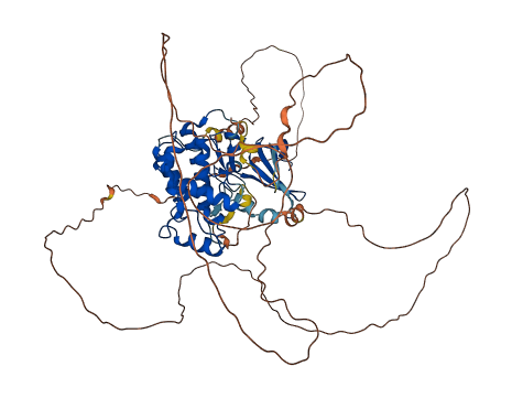 MAK 3D structure