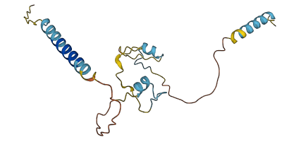 EDN2 3D structure