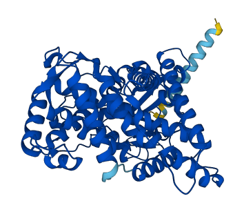 Cyp2a3 3D structure