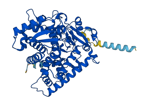 CYP2B6 3D structure