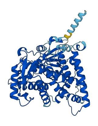 Cyp2c13 3D structure