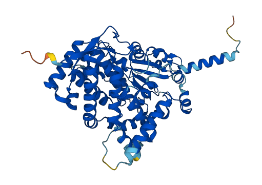 CYP3A5 3D structure