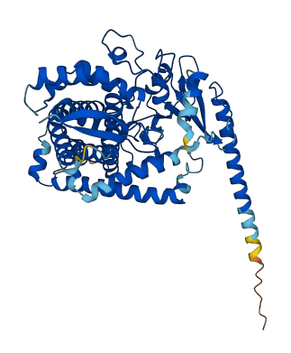 Cyp4a2 3D structure