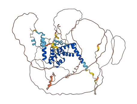HNF1A 3D structure