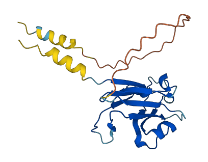 EFNA1 3D structure