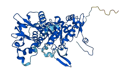 IMPDH1 3D structure