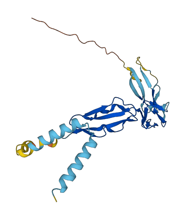 C4BPB 3D structure