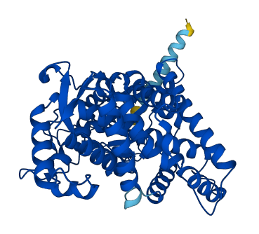 Cyp2a5 3D structure