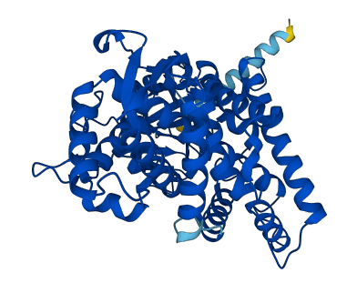 CYP2A7 3D structure