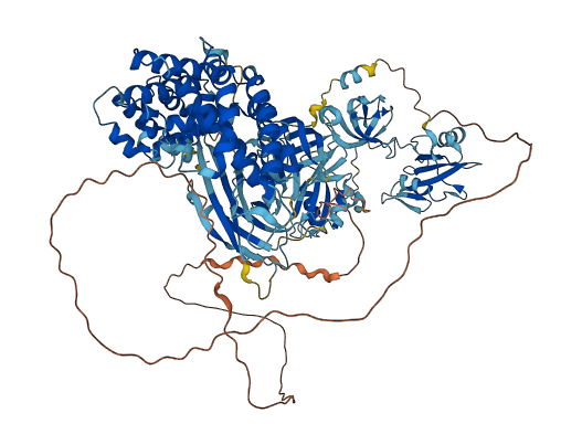 RASA1 3D structure