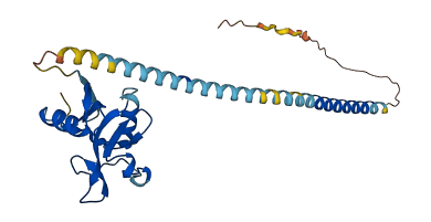 Klra1 3D structure