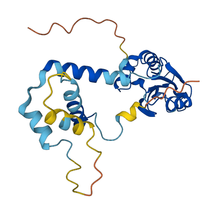 PDC 3D structure