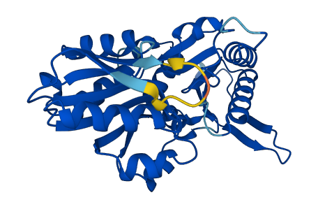 PRPS1L1 3D structure