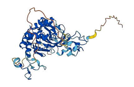 ENDOU 3D structure