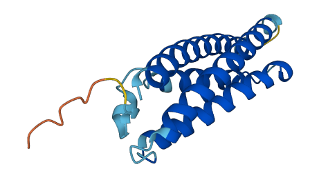 MAL 3D structure