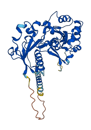 FUT3 3D structure