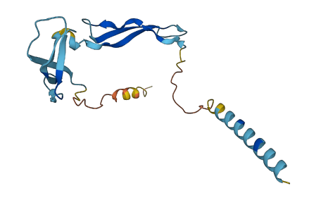 PTN 3D structure