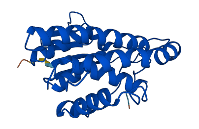 GSTM3 3D structure