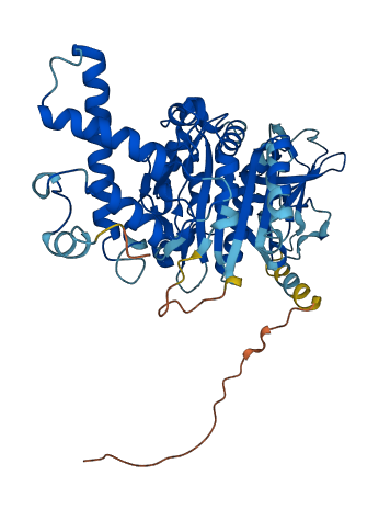ATP6V1B2 3D structure