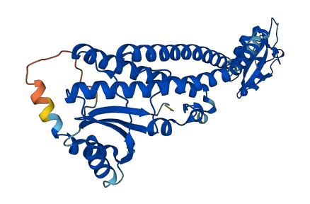 ATP6V1C1 3D structure