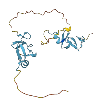 CSRP1 3D structure