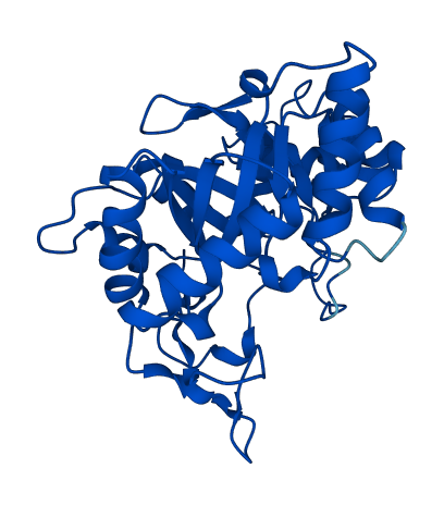 Akr1b7 3D structure