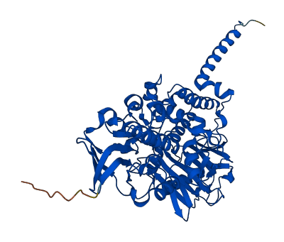 MAOA 3D structure